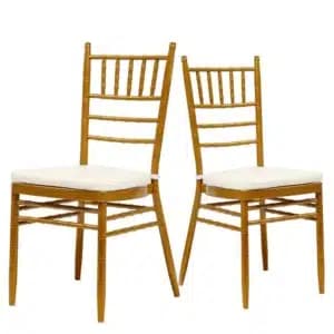 Tiffany Chair 1
